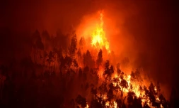 Incendie de forêt près du village de Mega Fundeira, au Portugal, le 18 juin 2023