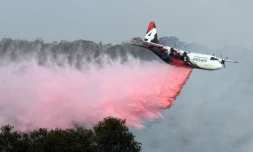 Un avion largue un produit retardateur de flammes lors d'une opération destinée à éteindre des feux de forêt à Penrose, dans l'Etat australien de Nouvelle-Galles-du-Sud, le 10 janvier 2020