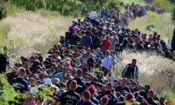 Des migrants encadrés par la police hongroise traversent la campagne le 21 septembre 2015 après avoir franchi la frontière entre la Croatie et la Hongrie près de Zakany