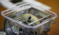 Un coeur artificiel de la société française Carmat, le 21 décembre 2013 à Paris