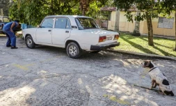 Un maßtre-chien et son chien participent à une formation de détection d'argent à La Havane, le 26 septembre 2019