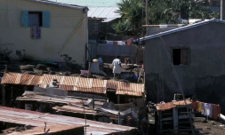 Logement à La Réunion