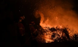 Des pompiers portugais tentent d'éteindre le feu à Louzan, le 16 octobre 2017