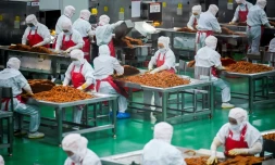 Des ouvriers préparent des lamelles de farine pour les aromatiser avant leur conditionnement à l'usine Mala Wangzi, du comté de Pingjiang, dans la province du Hunan, le 17 juin 2026 dans le centre de la Chine