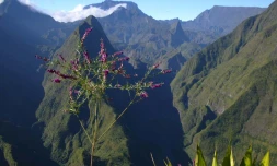 Cirque de Mafate