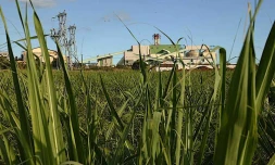 Usine du Gol