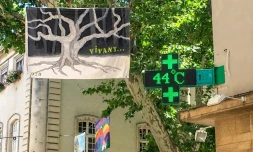 44 degrés enregistrés à Carpentras, dans le Vaucluse, le 28 juin 2019