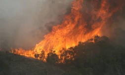 Mardi 12 octobre 2010 - incendie au Piton Maïdo (photo: Jean-François Benard)