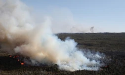 Mercredi 13 Octobre 2010

Incendie au Maïdo