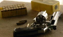 Dix hommes ont été mis en examen pour "acquisition, détention, cession et transport en réunion "de catégories A et B", soit des armes de guerre et de poing, et "association de malfaiteurs"