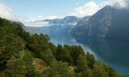 Vue aérienne prise depuis le point de vue de Ljoen, montrant le fjord de Geiranger, en Norvège, le 26 juin 2024