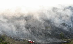 Vendredi 15 Octobre 2010

Incendie au Maïdo