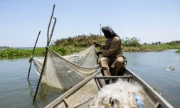 Ahmat Moussa, 42 ans, réfugié dans le camp de personnes déplacées à Yakoua, dans la province du lac Tchad, au Tchad, vérifie un filet le 21 juin 2025