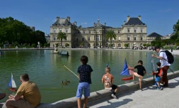 Des enfants jouent au Grand Bassin, dans le parc du Luxembourg, à Paris, le 17 août 2023