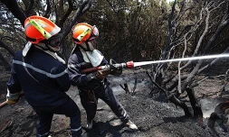 Dimanche 17 Octobre 2010

Incendie au Maïdo