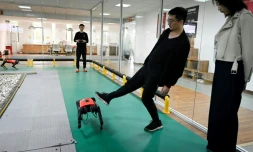 Un employé de la société de technologie Weilan commande un robochien le 2 avril 2021 dans l'atelier de l'entreprise à Nankin