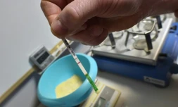 Des échantillons de soja sont testés au laboratoire de l'usine Alifel, dans la Sarthe, le 3 février 2017