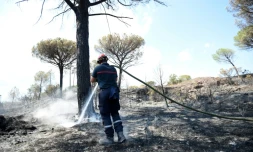 Un pompier continue d'arroser le site d'un incendie pour éviter une reprise de feu, le 20 août 2021 aux Mayons, dans le Var