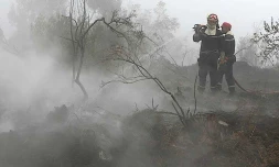 Lundi 18 Octobre 2010

Incendie du Maïdo