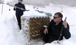 Un lot de bouteilles du Chateau de Lugey dégagées de la neige par Franck Labeyrie, à Cauterets dans les Pyrénées, le 7 juin 2018