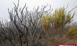 Incendie Maïdo (photo d'archives)
