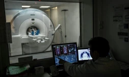 L'Organisation mondiale de la santé (OMS) estime que les cas de cancer augmenteront de 81% d'ici à 2040 dans les pays à revenu faible ou intermédiaire