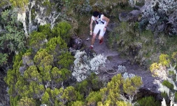 Grand raid 2010