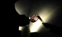 la Suède championne du monde de dégustation de vins à l'aveugle