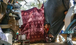 Des enfants dans un camp de déplacés syriens, dans le nord de la région d'Idleb, le 27 juin 2019