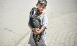 Un enfant et son chien dans le quartier rom à Mitrovica, au Kosovo, le 7 juillet 2017