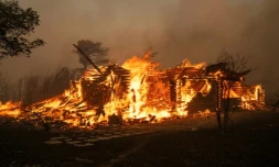 Une maison en feu lors d'incendies de forêt, le 11 août 2024 à Varnavas, au nord d'Athènes