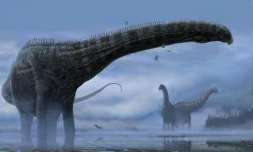 Illustration d'artiste d'un dinosaure sauropode, fournie le 11 février 2022 par la revue Scientific Reports 