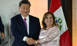 Le président chinois Xi Jinping et la présidente péruvienne Dina Boluarte se serrent la main lors d'une réunion au palais du gouvernement à Lima, le 14 novembre 2024