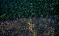 Vue aérienne d'une zone de déforestation de l'Amazonie, le 15 septembre 2021 à Labrea, au Brésil