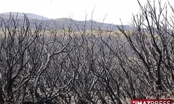 Incendie au Maïdo (archives)