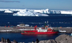 Illustration (photo : Taaf)