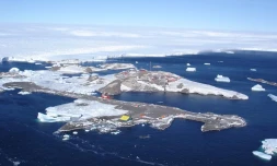 Illustration - (Photo - Laurent Besnard - Taaf)