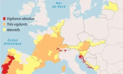 Alertes canicule en Europe