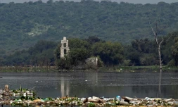 Des déchets flottent  devant les ruines de l'église San Francisco sur le barrage très pollué d'Endho, à Tepetitlan, au Mexique, le 5 août 2024