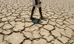 De Madagascar à l'Amazonie et jusque dans les Grandes plaines américaines, le dérèglement climatique pourrait menacer entre un quart et la moitié des espèces d'ici 2080 dans 33 régions du monde parmi les plus riches en biodiversité, selon un rapport