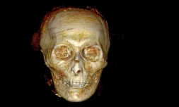 Image fournie par le ministère égyptien du Tourisme et des Antiquités le 28 décembre 2021 montrant une reconstruction 3D de la tête du pharaon Amenhotep Ier