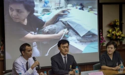Des vétérinaires expliquent les causes de la mort de la tortue "Tirelire", le 21 mars 2017 à Bangkok
