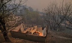 Une construction brûle dans une forêt de Kabylie, en Algérie, le 10 août 2021