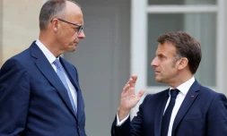Le président français Emmanuel Macron (d) s'entretient avec le chancelier allemand Friedrich Merz dans le jardin du palais de l'Elysée à Paris, le 7 mai 2025