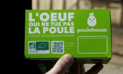 Une boîte d'ouefs bio produits dans la ferme de Coussac-Bonneval (40 km au sud de Limoges) de la start-ip Poulehouse, le 6 avril 2018