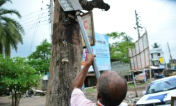 Ohid Sarder, 53 ans, nettoie les arbres des clous et pieux qui les encombrent, le 13 octobre 2018 à Jessore au Bangladesh