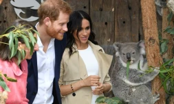 Le prince Harry et son épouse Meghan au zoo de Taronga, le 16 octobre 2018 à Sydney
