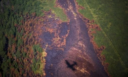 Photographie du 27 juillet 2021 montrant l'ombre d'un avion au-dessus d'une forêt brûlée dans la République de Sakha (Russie)