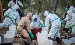 Enterrement d'une victime du Covid-19 à Surabaya, en Indonésie, le 26 septembre 2020