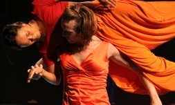 Opéra chorégraphique de la Compagnie Sylvie Guillermin (Photo D.R)